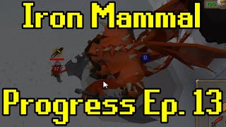 Oldschool Runescape  2007 Iron Man Progress Ep 13  Iron Mammal [upl. by Ddej]