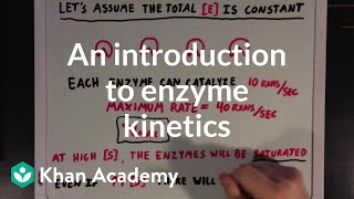 An introduction to enzyme kinetics  Chemical Processes  MCAT  Khan Academy [upl. by Martelli]