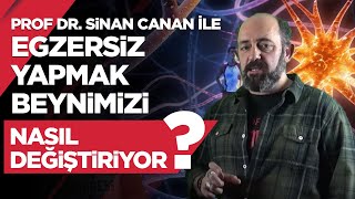 Egzersiz Yapmak Beynimizi Nasıl Değiştiriyor [upl. by Imit]