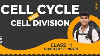 🔴 Cell Cycle and Cell Division • Class 11 NCERT Explanation [upl. by Lothaire473]