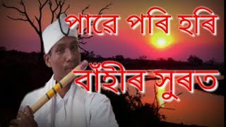 Pawe pori hori  Borgeet  Srimanta Sankardeva  Assamese flute Instrumental  NS MUSIC [upl. by Lajib393]