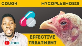 How to Treat Cough in Chickens Chronic Respiratory Disease in Poultry [upl. by Allicserp]