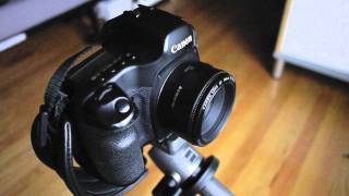 Sigma 50mm f14 EX DG HSM AF Speed Test [upl. by Quar]