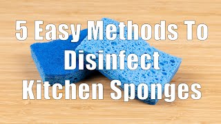 5 Easy Methods To Disinfect Kitchen Sponges DiTuro Productions LLC [upl. by Gerdi]