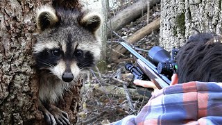 Raccoon Hunting with 22LR Scope Cam [upl. by Cantu387]