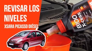 Cómo revisar los niveles Xsara Picasso 16 HDI 📏 [upl. by Acinomahs318]