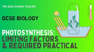 GCSE Biology Photosynthesis Required Practical AQA OCR Edexcel [upl. by Refinney422]