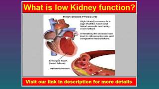 Low Kidney Function [upl. by Ydennek]