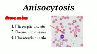 Anisocytosis क्या है [upl. by Odnomra]