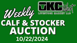 10222024 Calf amp Stocker Auction  OKC West [upl. by Atiseret]