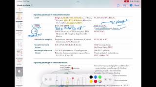 signalling pathways of endocrine hormones endocrinology 30  First Aid USMLE Step 1 in UrduHindi [upl. by Aikahs742]