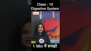 Digestive system class 10  shorts class10 digestivesystem mohitshukla mssscnotes [upl. by Fernald993]