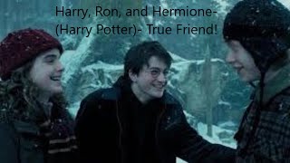 Harry Ron and Hermione Harry Potter True Friend [upl. by Partridge]