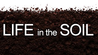 Life in the Soil [upl. by Namwen898]