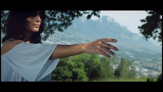 Lionel Fornetti  Feat Morgane Fornetti  Lady Lane  Official Music Video [upl. by Wong]