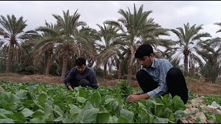 8 minutes of breathing in nature early morning in the field [upl. by Leary]