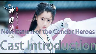 New Return of the Condor Heroes Cast Introduction 新神雕俠侶演員介紹 [upl. by Aicirtan]