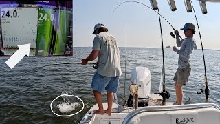 Use THESE TACTICS To Catch MORE Keeper Inshore Mangrove Snapper [upl. by Tut715]