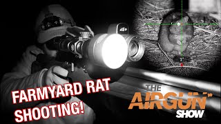 The Airgun Show  Farmyard Rat Shooting at Night Crosman Trailhawk air rifle review [upl. by Ethelind]