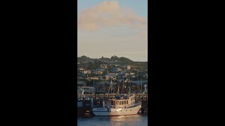 Bluff Oyster Festival Southland New Zealand [upl. by Itsrejk]