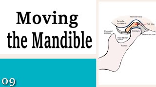 09 Moving the Mandible  Learning to Control Your Neck and Head [upl. by Atihana]