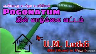 Pogonatum இன் வாழ்க்கைவட்டம்Life Cycle of PogonatumUM Luthfi BSc Hons in Physio [upl. by Yentirb]