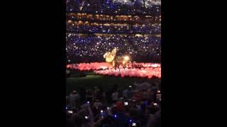 Super Bowl XLIX Katy Perry Halftime Show Roar [upl. by Riba]