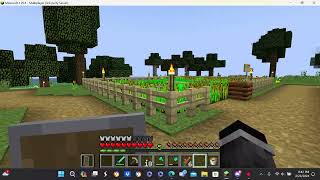 Upgrading Chicken Town And Finishing Enchantment Room [upl. by Riker]