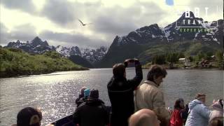 Hurtigruten excursie 9C TrollfjordSvolvær bootexcursie Zeearendensafari [upl. by Ybeloc]