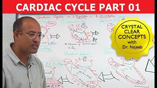 Cardiac Cycle  Systole amp Diastole  Dr Najeeb Part 18 [upl. by Aneej]