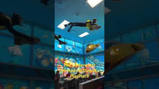 The Underwater Themed Play Place At McDonald’s In Navarre FL [upl. by Eilema]