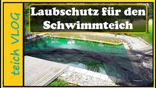 Blätter im Teich Wir testen die einfache Lösung mit dem Laubnetz [upl. by Reinald]