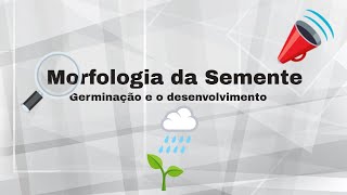 Morfologia da Semente [upl. by Ogu]