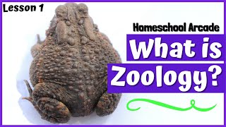 What is Zoology [upl. by Compton121]