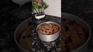 NO OVEN  WHOLE WHEAT EGGLESS CHOCOLATE CAKE  EASY CHOCOLATE CAKE AT HOME short [upl. by Brookner]