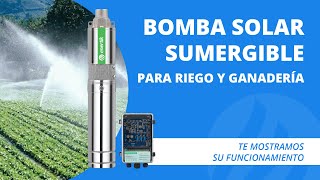 🌞💦 Bomba sumergible solar energizada directamente con paneles para riego solar y ganadería [upl. by Nnylaj]