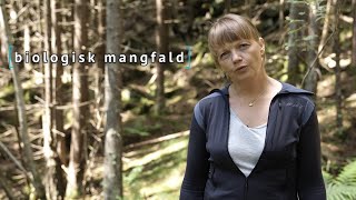 Kort forklart biologisk mangfald [upl. by Helsell249]