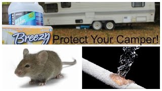 How to Winterize Your RVTravel Trailer 5th Wheel MotorHome or Camper [upl. by Magdau332]