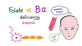 Folate Deficiency vs Vitamin B12 Deficiency  Diet and Nutrition  Hematology [upl. by Ititrefen]