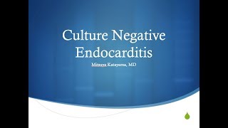 Culture Negative Endocarditis  Mitsuya Katayama MD [upl. by Anisamot597]