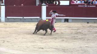 Banderilleros stab the bull [upl. by Elohcin]