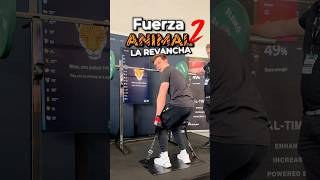 ¿Qué Animal Serías ¡Descúbrelo con Este Divertido Test 🦁🦉 [upl. by Sherar185]