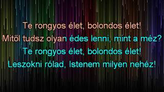 Te rongyos élet Csárdáskirálynő  karaoke [upl. by Thissa]