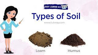 Types of Soil  Loam Humus  Components of Soil  Properties of Soil  Soil Types  Science [upl. by Gherardi620]