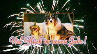 Hunde  Silvesterwünsche  Silvestersprüche  Neujahrsgrüße [upl. by Gnod705]