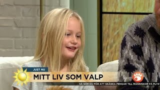 Ruth om sin nya hund quotHan gillade inte mig  det var jobbigtquot  Nyhetsmorgon TV4 [upl. by Enelyak475]