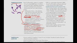 Staphlococci  Microbiology  8  First Aid USMLE in UrduHindi [upl. by Aissirac]