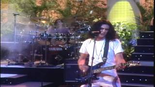 Caifanes  Los Dioses Ocultos En Vivo 1991Remasterizado HD [upl. by Decker636]