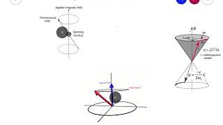 LARMOR PRECESSION  atomic physics [upl. by Zela]