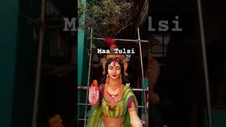 🌿🌱Maa Tulsi Pujan🌱🌿 sanskrutiparampara tulsi [upl. by Htyderem809]